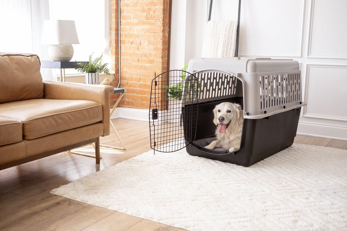 X-Small Plastic Dog Crate Z577